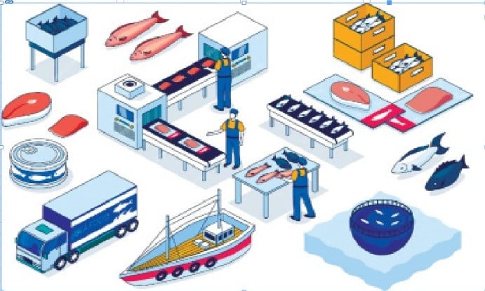 Govt eyes $200m from tuna exports | The Express Tribune