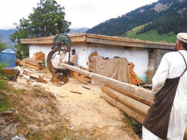 Poor planning not deforestation to blame for devastation | The Express Tribune