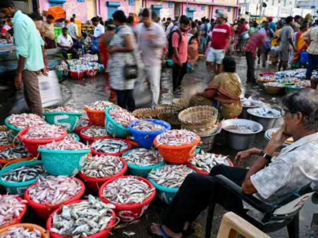 Govt targets $600m in seafood exports | The Express Tribune