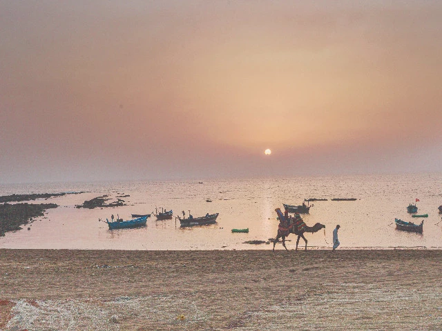 Save fish wealth of coastal belt | The Express Tribune