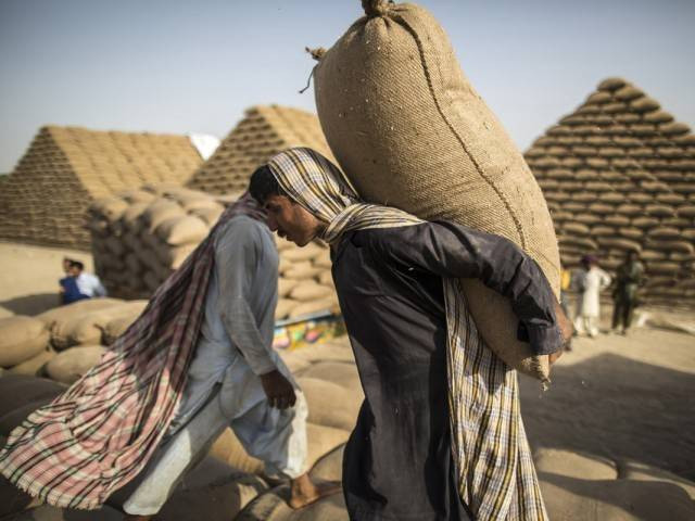 ECC agrees to sell old PASSCO wheat stock | The Express Tribune